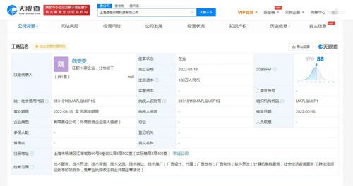 计算机系统服务 数字化时代的基石与引擎